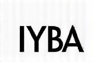 IYBA Logo